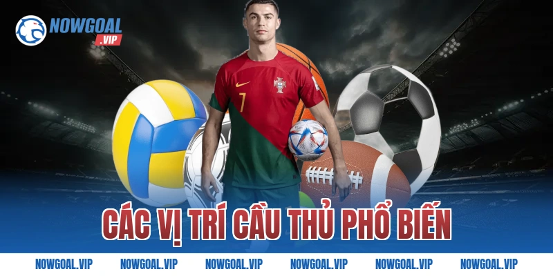 Các Vị Trí Cầu Thủ Phổ Biến