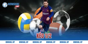 Kèo 1/2 Là Gì Và Cách Đọc Kèo Chính Xác