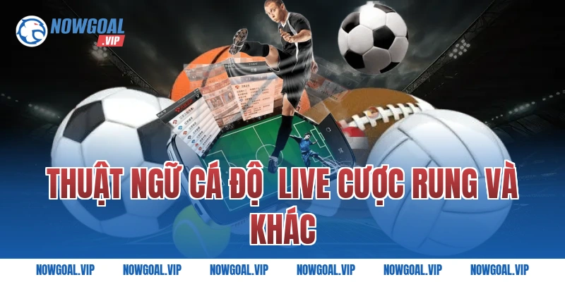 Thuật Ngữ Cá Độ  Live Cược Rung Và Khác